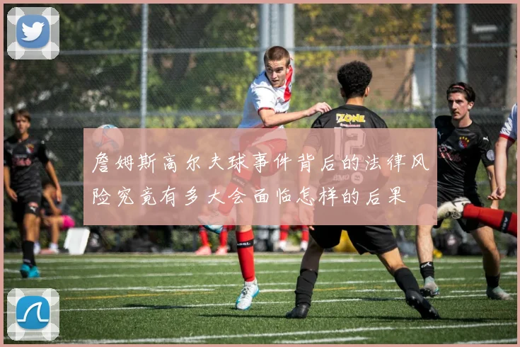 詹姆斯高尔夫球事件背后的法律风险究竟有多大会面临怎样的后果