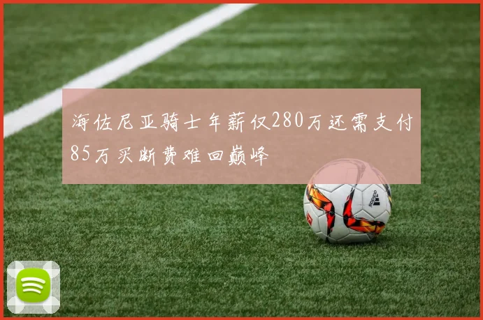 海佐尼亚骑士年薪仅280万还需支付85万买断费难回巅峰